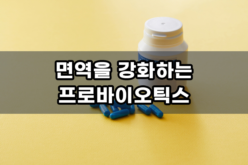 면역 강화하는 7가지 식품